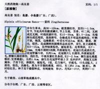 中國有關藥書對高良姜植物種屬的記載