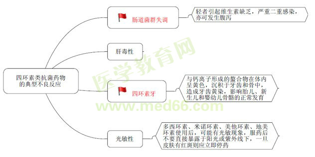 《藥學(xué)專業(yè)知識(shí)（二）》“那點(diǎn)小事兒”