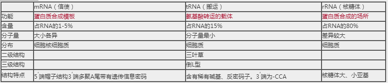 2018年臨床執(zhí)業(yè)醫(yī)師生物化學科目高頻考點