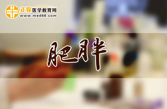 肥胖會(huì)引發(fā)哪些疾病？