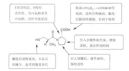 以卡托普利為模型解釋ACE抑制劑結(jié)構(gòu)