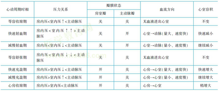 心動周期生理特點