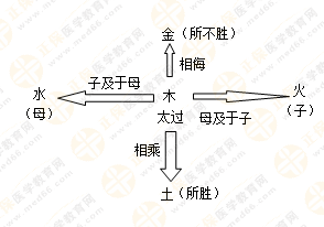 專業(yè)師資帶你學(xué)（五）：執(zhí)業(yè)藥師《中藥綜》五行學(xué)說！學(xué)習(xí)要有方法！