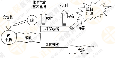 《中藥學(xué)綜合知識(shí)與技能》的藏象