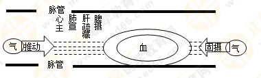 專業(yè)師資帶你學(xué)（八）：執(zhí)業(yè)藥師《中藥綜》生命活動的基本物質(zhì)！善用圖解！