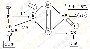 專業(yè)師資帶你學(xué)（八）：執(zhí)業(yè)藥師《中藥綜》生命活動的基本物質(zhì)！善用圖解！