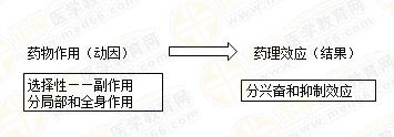 執(zhí)業(yè)藥師藥效學(xué)