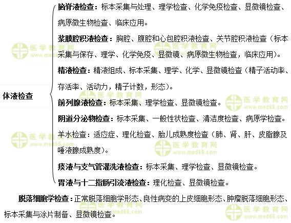 臨床檢驗基礎重點學習內容介紹