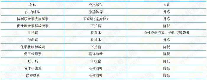 應激時內(nèi)分泌變化 