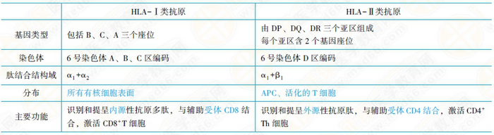 主要組織相容性復合體及其編碼分子