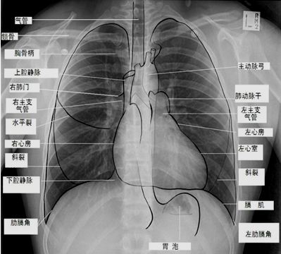 實踐技能輔導(dǎo)精華