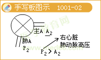 實(shí)踐技能輔導(dǎo)精華