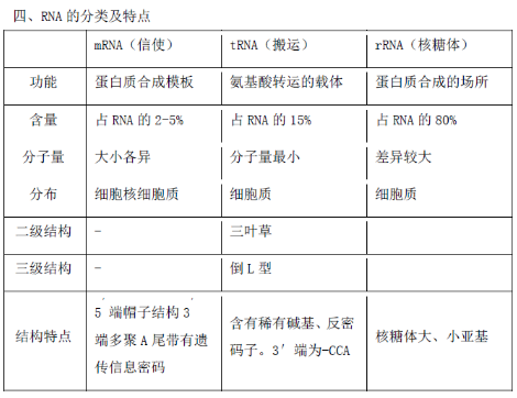 核酸機構(gòu)與功能