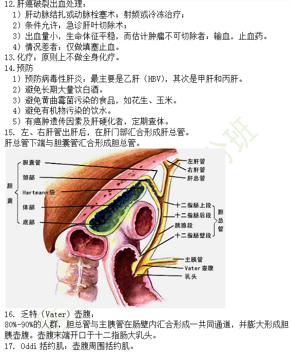 30個(gè)有關(guān)肝炎、膽囊炎相關(guān)考點(diǎn)匯總-臨床執(zhí)業(yè)醫(yī)師消化系統(tǒng)第九期！