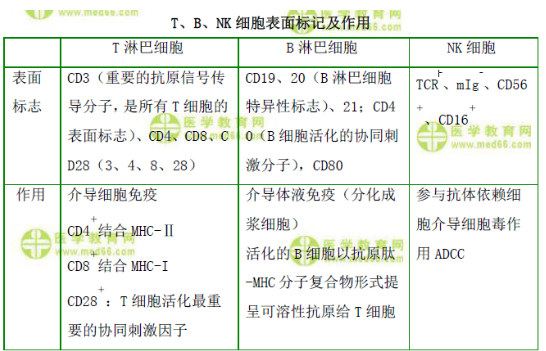 T、B、NK細胞表面標記及作用