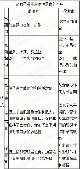 雌、孕激素的生理作用及附性器官的周期性變化