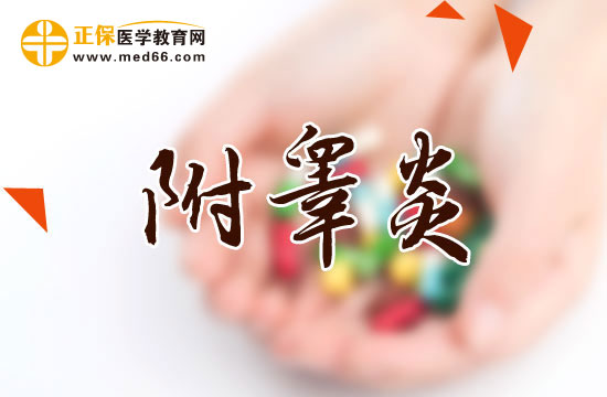 附睪炎分幾類(lèi)？臨床表現(xiàn)有何特點(diǎn)？