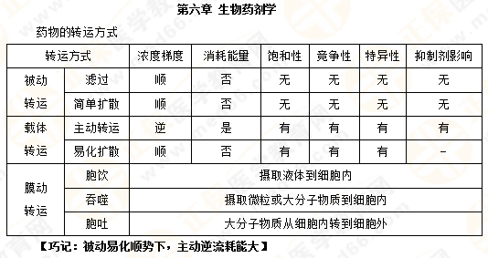 2019年執(zhí)業(yè)藥師《藥一》的藥劑學(xué)，15分鐘經(jīng)典回顧！