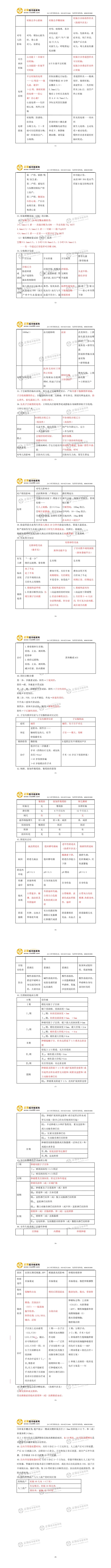 女性生殖系統(tǒng)高頻考點(diǎn)