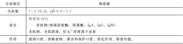 口腔內消化