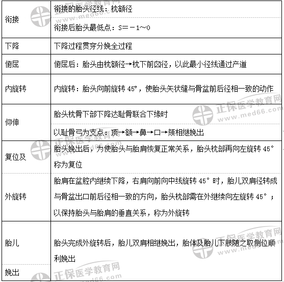 枕先露的分娩機(jī)制