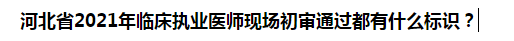 河北省2021年臨床執(zhí)業(yè)醫(yī)師現(xiàn)場初審?fù)ㄟ^都有什么標(biāo)識(shí)？