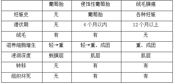 絨癌、侵蝕性葡萄胎、葡萄胎的鑒別