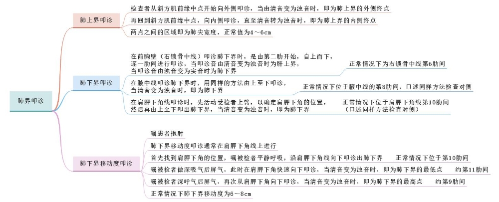 體格檢查——肺界叩診、肺下界移動度叩診