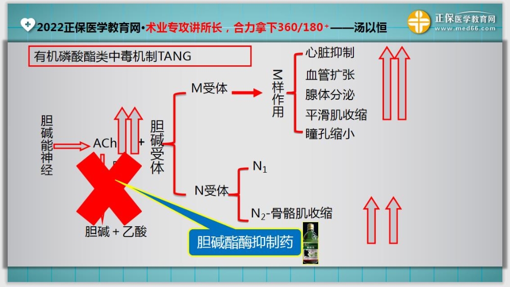 臨床醫(yī)師基礎測試15-延伸