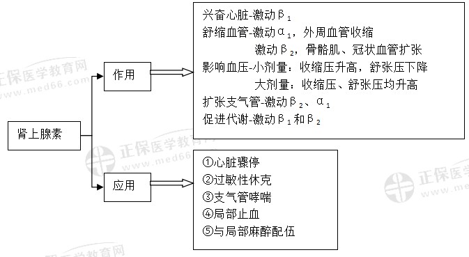 腎上腺素