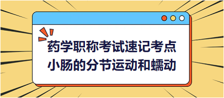 小腸的分節(jié)運動和蠕動-2024藥學職稱考試速記考點