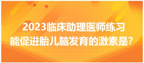 2023臨床助理醫(yī)師練習(xí)-促進(jìn)胎兒腦發(fā)育的激素是？