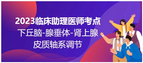 2023臨床助理醫(yī)師考點；下丘腦-腺垂體-腎上腺皮質(zhì)軸系調(diào)節(jié)