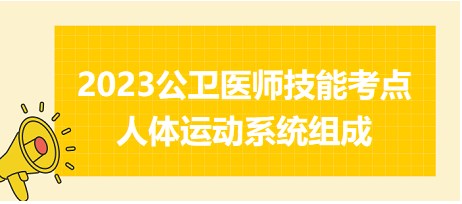 2023公衛(wèi)醫(yī)師技能考點(diǎn)-人體運(yùn)動(dòng)系統(tǒng)組成