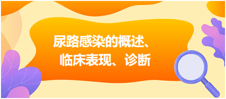 尿路感染的概述、臨床表現、診斷