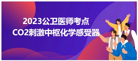 CO2刺激中樞化學感受器