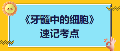 《牙髓中的細胞》速記考點